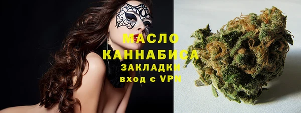 сатива Новозыбков