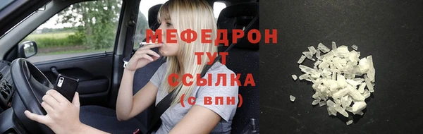 сатива Новозыбков