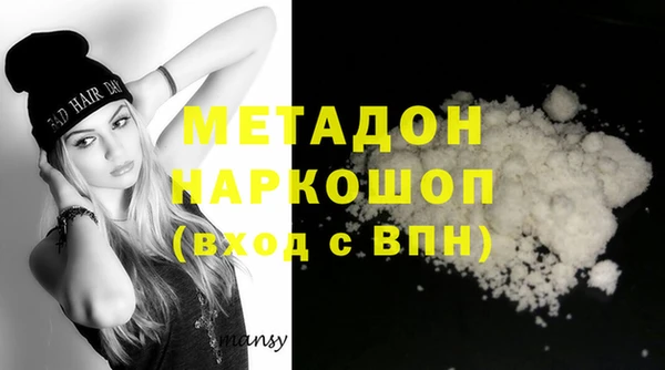 сатива Новозыбков