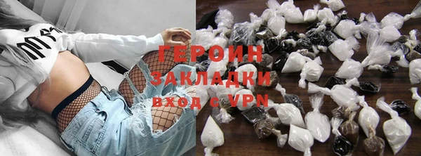 сатива Новозыбков