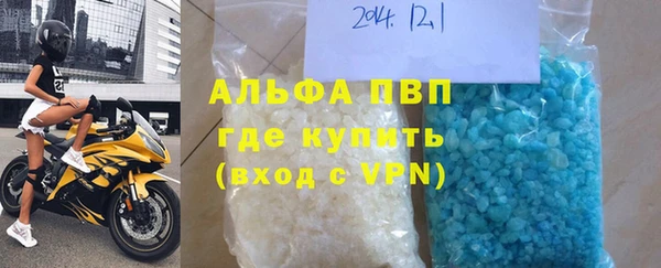 сатива Новозыбков