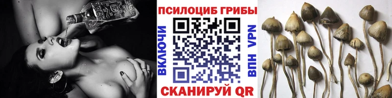 Галлюциногенные грибы GOLDEN TEACHER darknet наркотические препараты Тулун ОМГ ОМГ