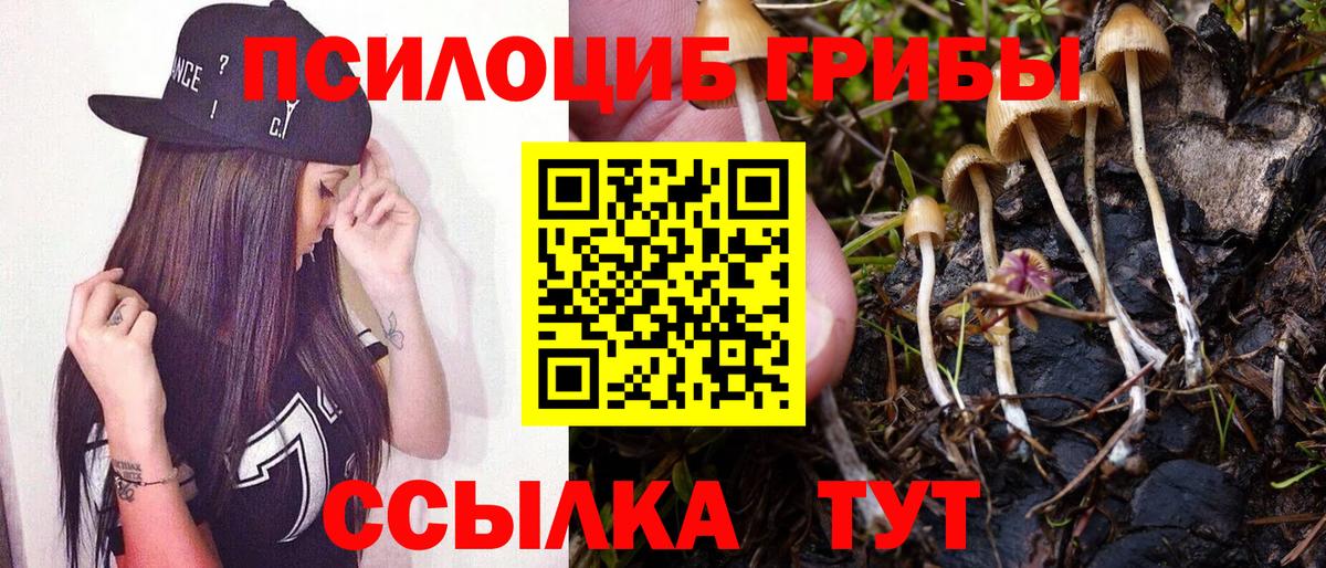 Галлюциногенные грибы GOLDEN TEACHER Тулун