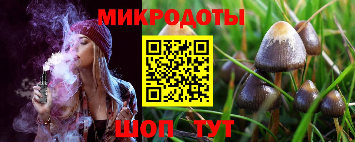 Псилоцибиновые грибы мухоморы  Галлюциногенные грибы мухоморы  Тулун  Вход с VPN 